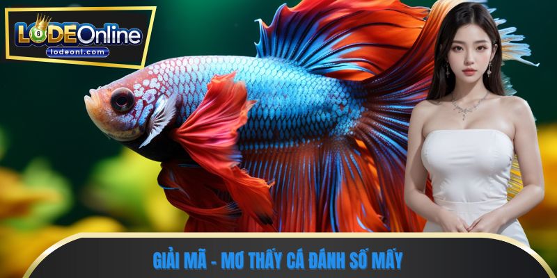 Giải mã - Mơ thấy cá đánh số mấy