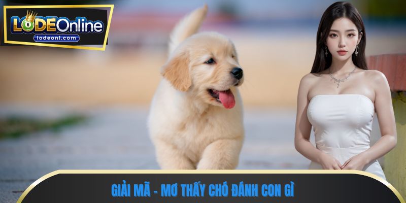 Giải mã - Mơ thấy chó đánh con gì