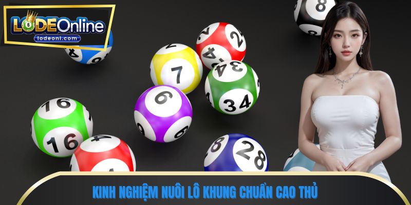Kinh nghiệm nuôi lô khung chuẩn cao thủ