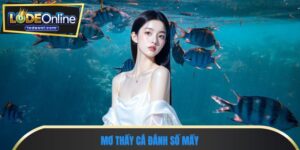 Mơ thấy cá đánh số mấy