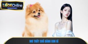 Mơ thấy chó đánh con gì