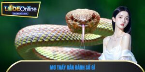 Mơ thấy rắn đánh số gì