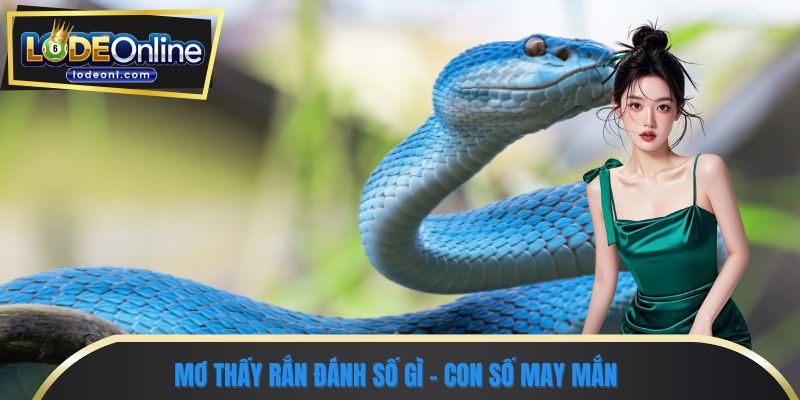 Mơ thấy rắn đánh số gì - Con số may mắn