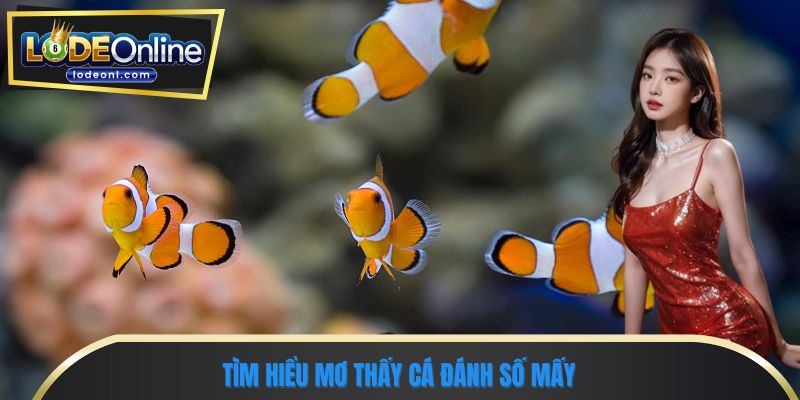 Tìm hiểu mơ thấy cá đánh số mấy
