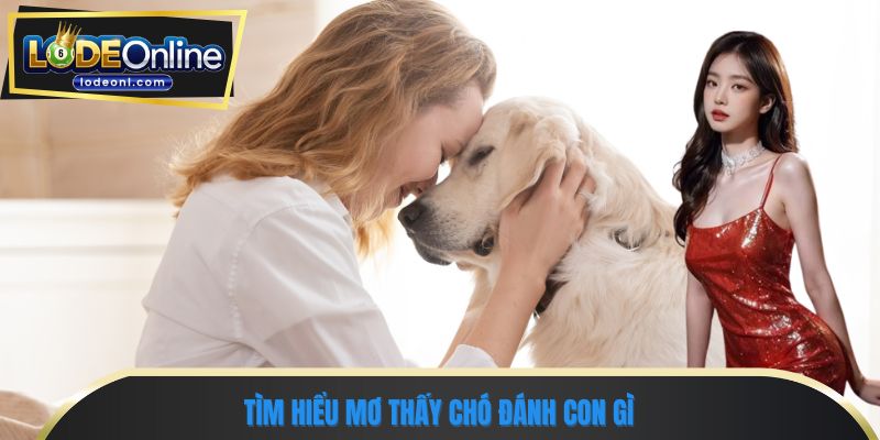 Tìm hiểu mơ thấy chó đánh con gì