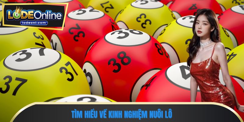 Tìm hiểu về kinh nghiệm nuôi lô